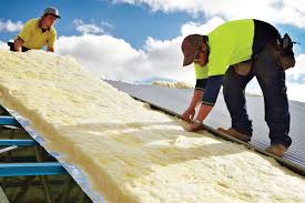 Best Insulation Removal  in Ravensworth, VA